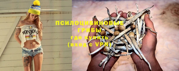 стаф Арсеньев